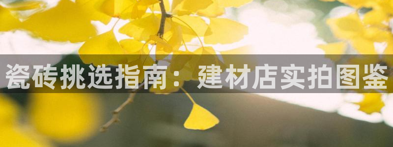 杏鑫平台直属哪个公司