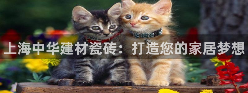 杏鑫娱乐怎么样