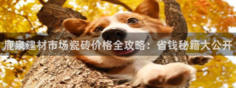杏鑫平台是黑平台吗知乎