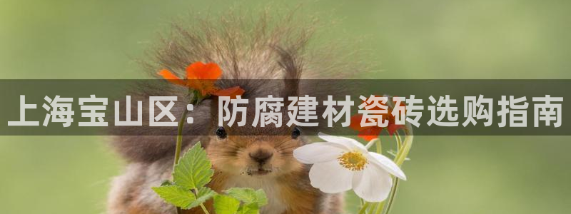 杏鑫平台直属哪个公司