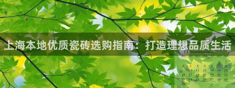 杏鑫平台代理怎么样赚钱