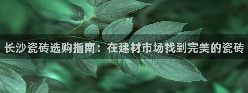 杏鑫娱乐怎么样