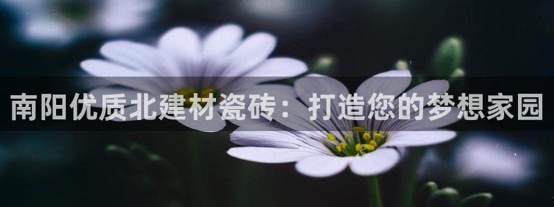 杏鑫平台下载安装