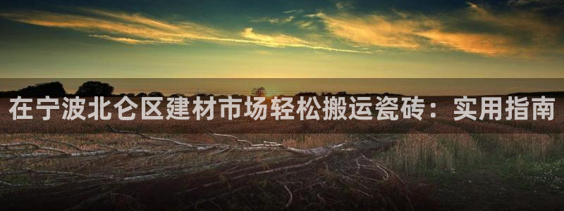 杏鑫平台平台