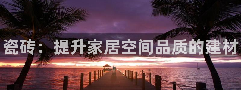 杏鑫平台代理注册流程视频