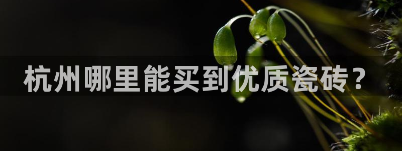 杏鑫官网注册账号密码是什么