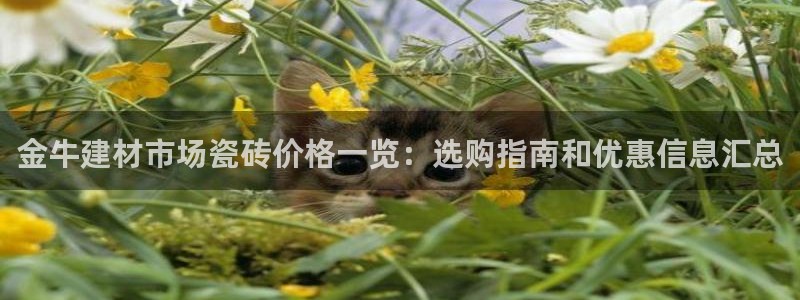杏鑫娱乐官方网站客户端