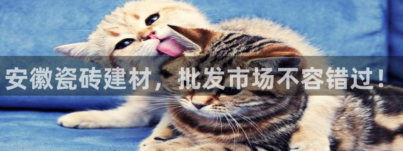 杏鑫平台注册网址