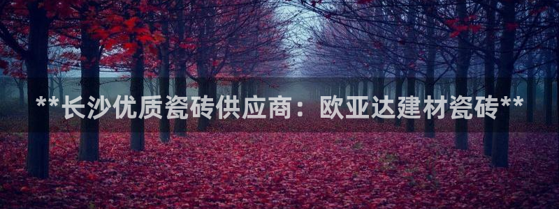 杏鑫官网注册账号是什么