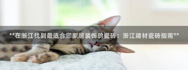 杏鑫平台广7O777