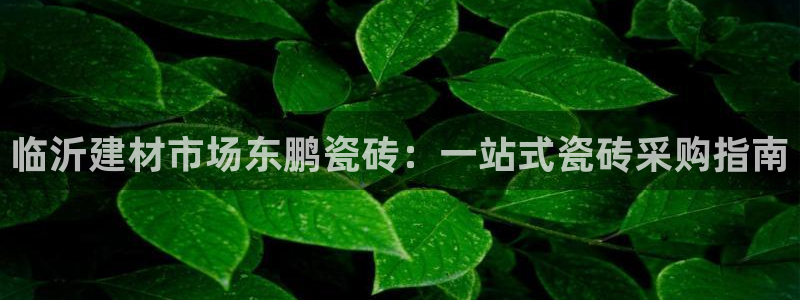 杏鑫注册地址