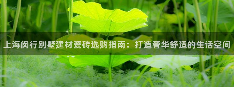 杏鑫注册登录网