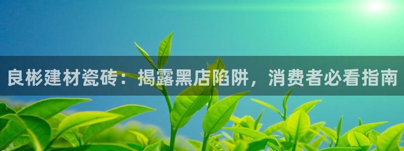 杏鑫平台代理注册流程图