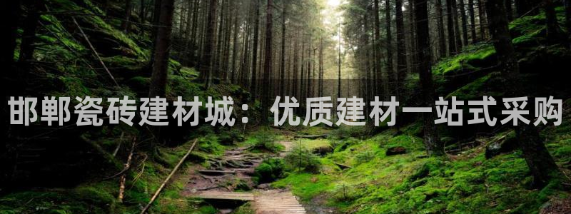 杏鑫平台怎么样