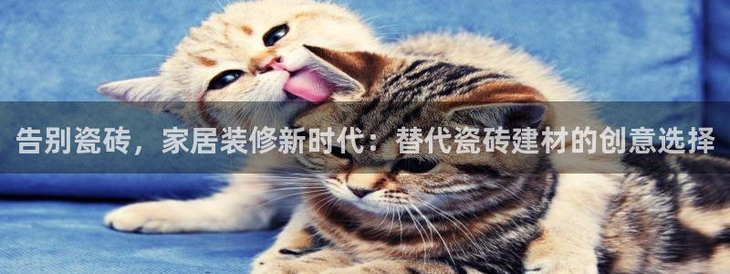 杏鑫平台怎么样