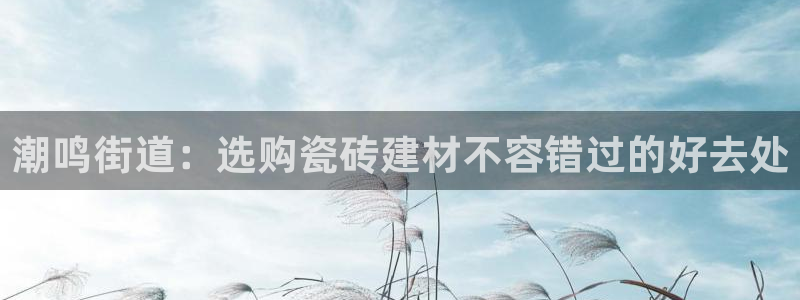 杏鑫平台官方网站