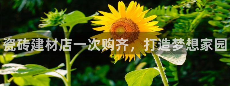 杏鑫平台广7O777