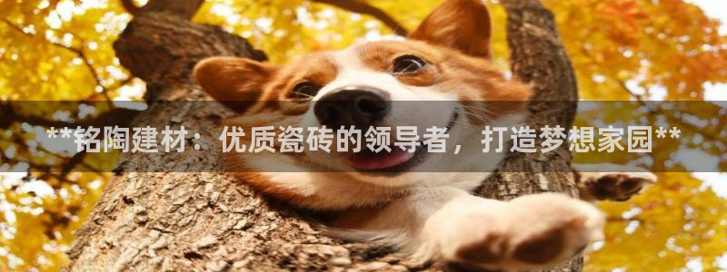 杏鑫平台在线注册怎么注册