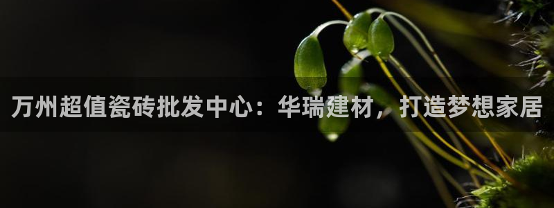 杏鑫平台是黑平台吗知乎