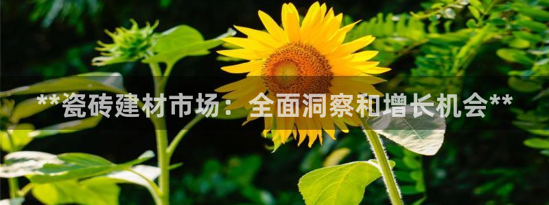 杏鑫平台代理怎么做赚钱