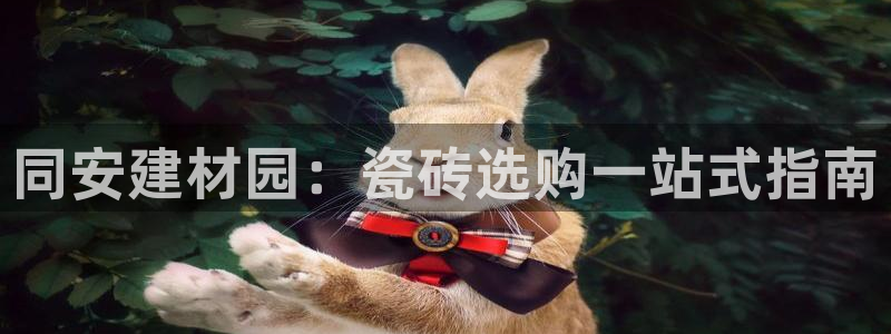杏鑫主管
