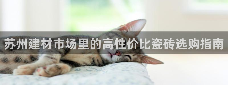 杏鑫平台登陆