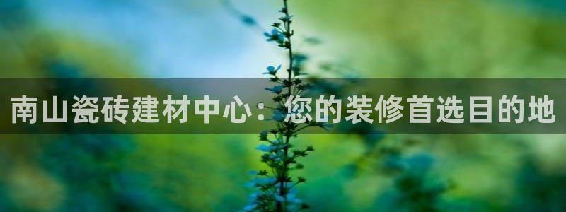 杏鑫平台登录地址