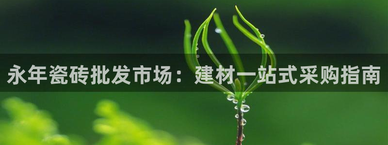 杏鑫官方app代理