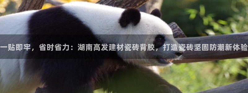 杏鑫娱乐官网下载