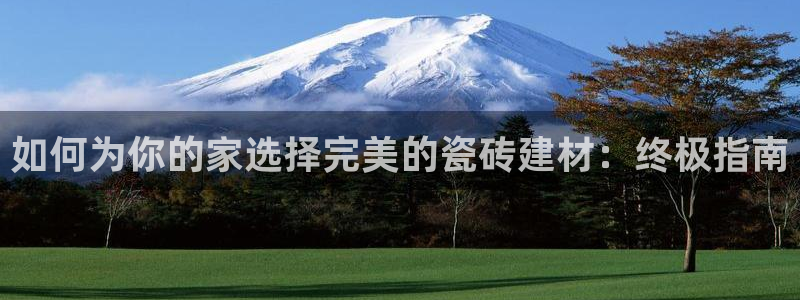 杏鑫官方平台怎么样