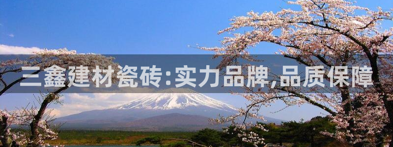 杏鑫官网最新信息新闻
