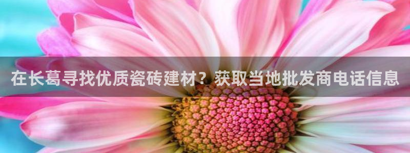 杏鑫有亏损返点吗