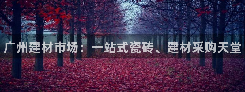 杏鑫有亏损返点吗
