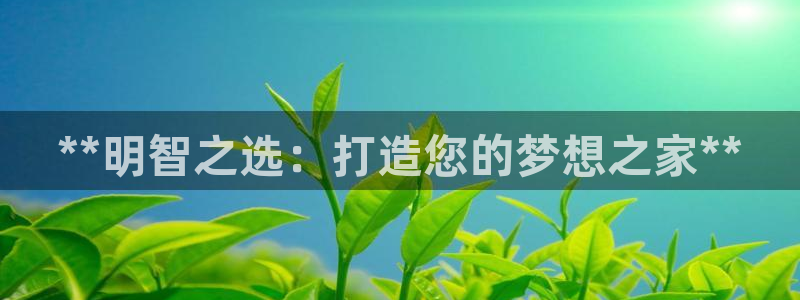 杏鑫有亏损返点吗