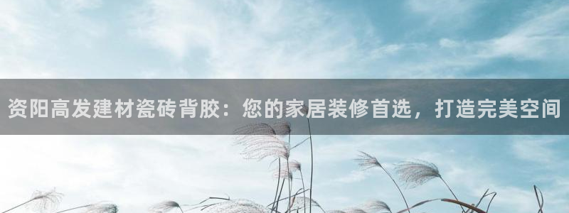 杏鑫主管