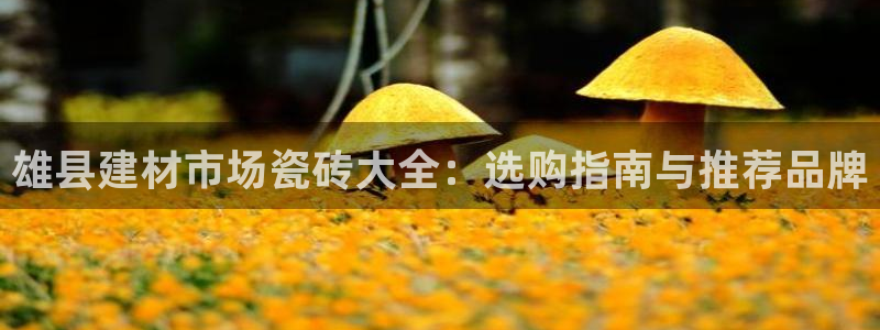 杏鑫娱乐平台测速