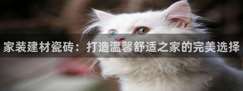 杏鑫平台怎么样知乎