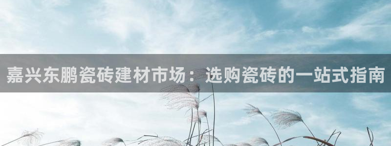 杏鑫官网