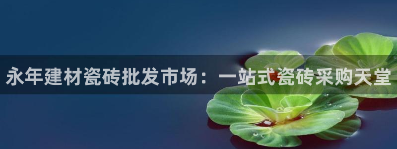 杏鑫平台怎么样黑钱吗是真的吗还是假的