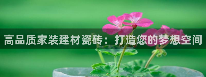 杏鑫官方平台怎么样啊可靠吗
