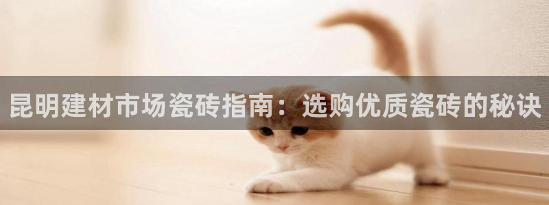 杏鑫娱乐官方网站客户端下载