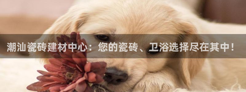 杏鑫娱乐是合法的吗?