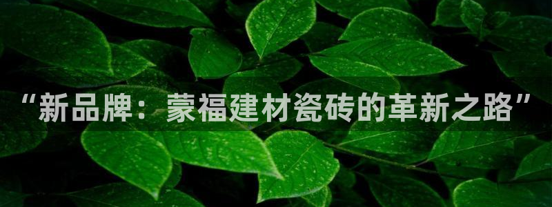 杏鑫娱乐官网下载