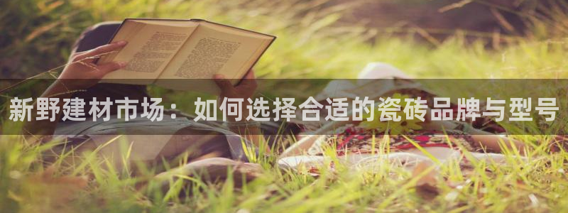杏鑫平台代理怎么做赚钱