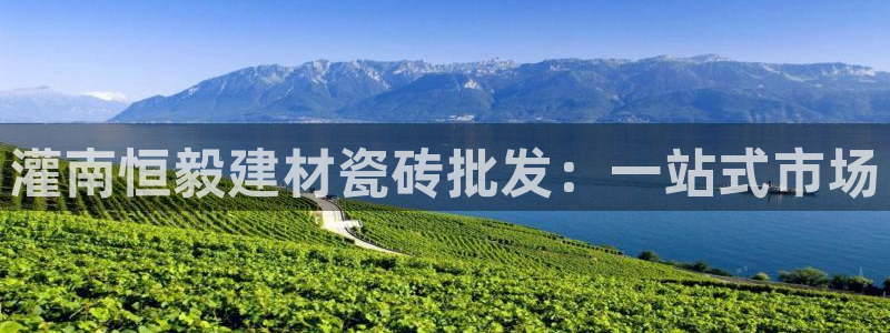 杏鑫平台直属哪个公司