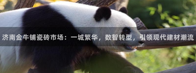 杏鑫平台是黑平台吗