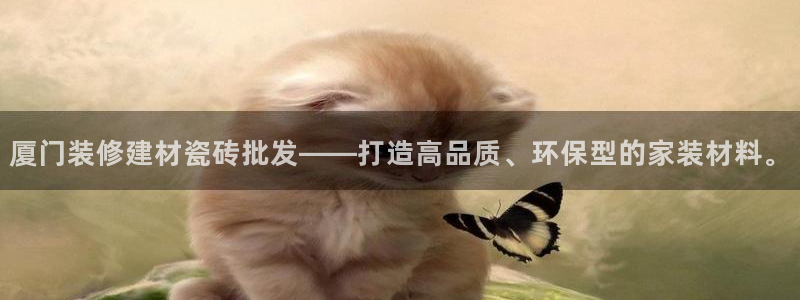 杏鑫3主管