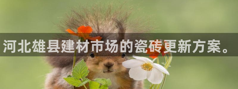 杏鑫官方app代理