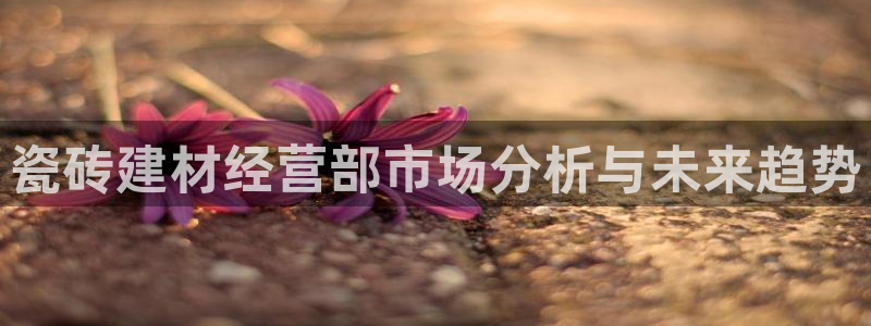 杏鑫官方平台怎么样啊安全吗