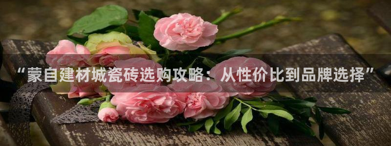 杏鑫平台招商怎么样啊